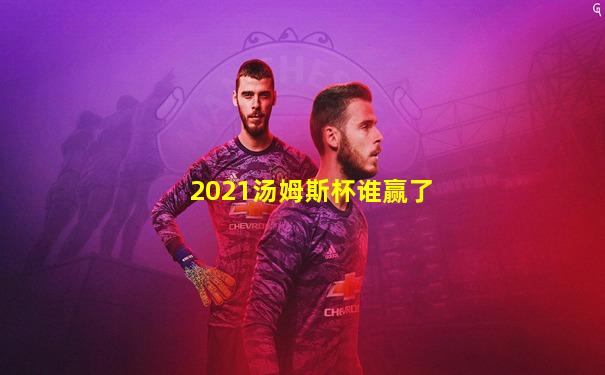 2021汤姆斯杯谁赢了