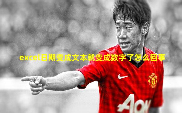 excel日期变成文本就变成数字了怎么回事