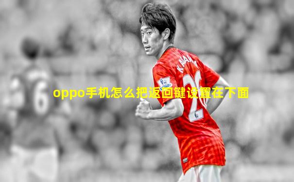 oppo手机怎么把返回键设置在下面
