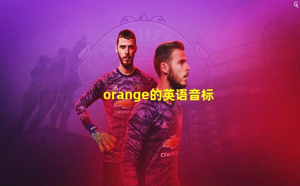 orange的英语音标