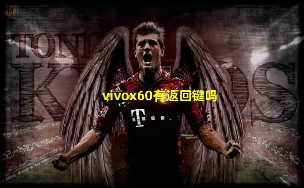 vivox60有返回键吗