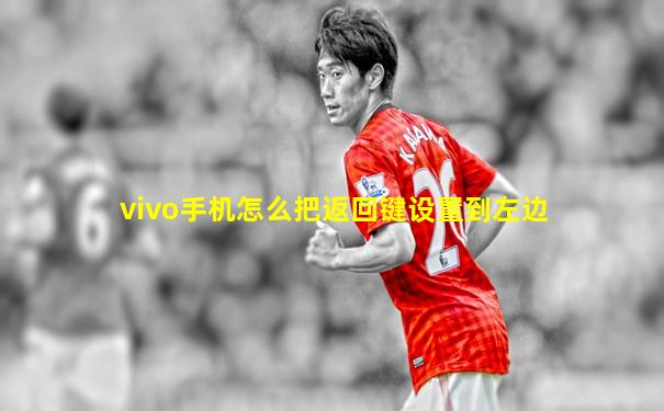 vivo手机怎么把返回键设置到左边