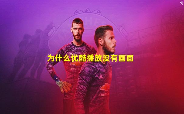 为什么优酷播放没有画面