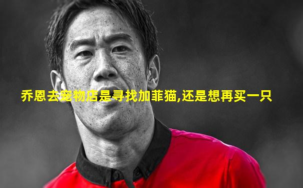 乔恩去宠物店是寻找加菲猫,还是想再买一只