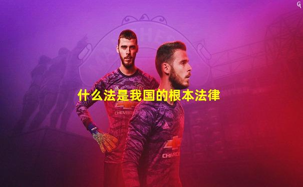 什么法是我国的根本法律