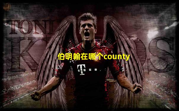 伯明翰在哪个county