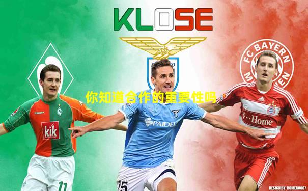 你知道合作的重要性吗