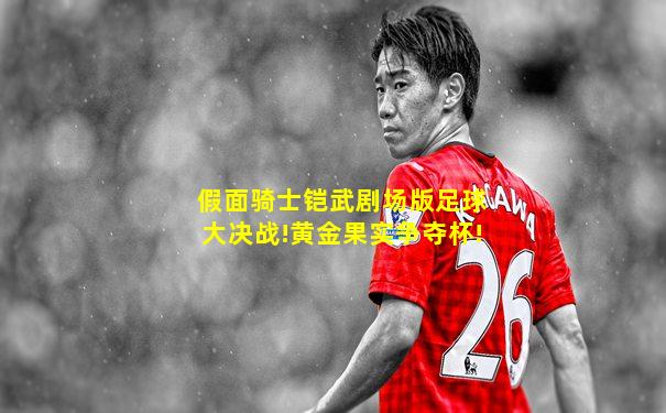 假面骑士铠武剧场版足球大决战!黄金果实争夺杯!