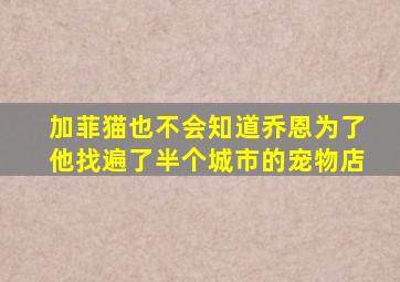 加菲猫也不会知道乔恩为了他找遍了半个城市的宠物店