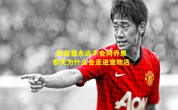 加菲猫永远不会问乔恩那天为什么会走进宠物店