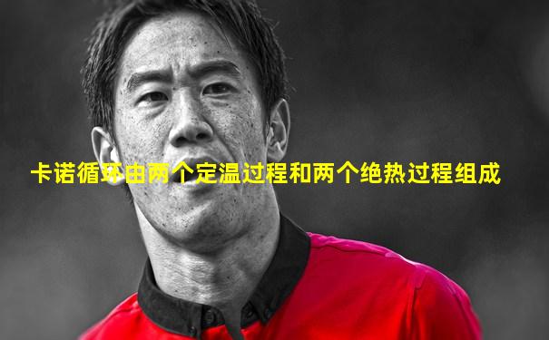 卡诺循环由两个定温过程和两个绝热过程组成