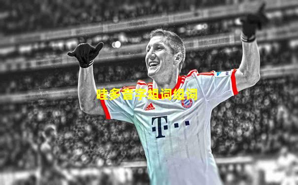哇多音字组词组词
