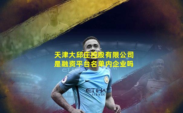 天津大邱庄控股有限公司是融资平台名单内企业吗