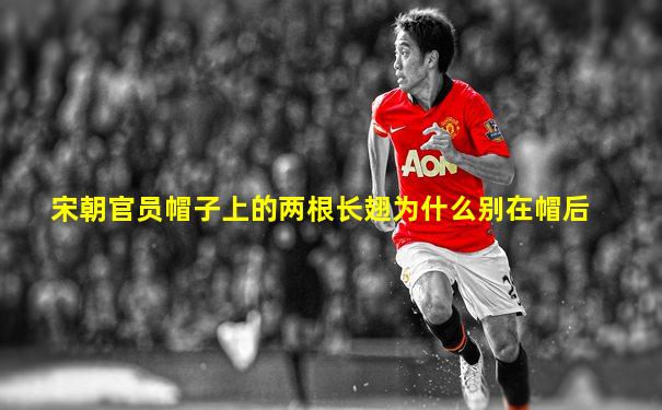 宋朝官员帽子上的两根长翅为什么别在帽后
