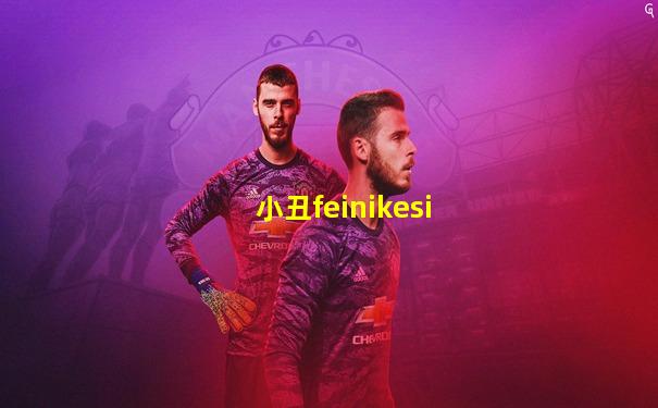 小丑feinikesi
