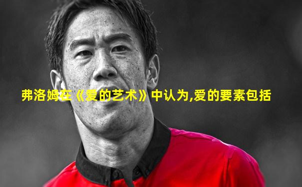 弗洛姆在《爱的艺术》中认为,爱的要素包括