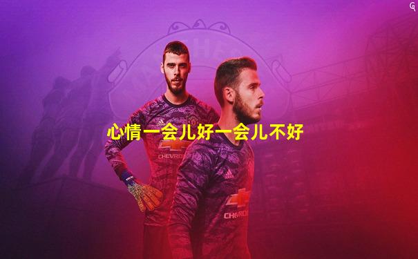 心情一会儿好一会儿不好