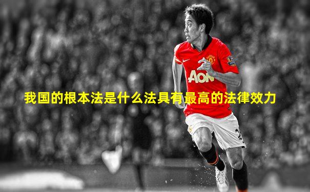 我国的根本法是什么法具有最高的法律效力
