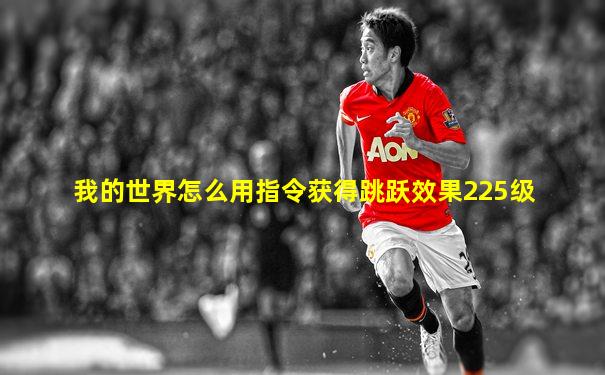 我的世界怎么用指令获得跳跃效果225级