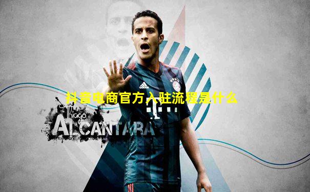 抖音电商官方入驻流程是什么