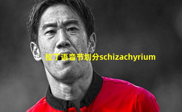 拉丁语音节划分schizachyrium