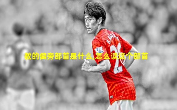 教的偏旁部首是什么,怎么读这个部首