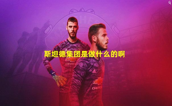 斯坦德集团是做什么的啊