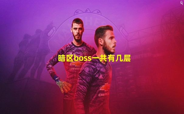 暗区boss一共有几层