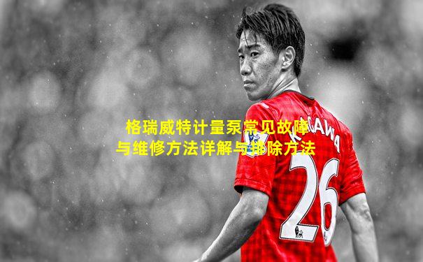 格瑞威特计量泵常见故障与维修方法详解与排除方法