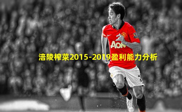 涪陵榨菜2015-2019盈利能力分析