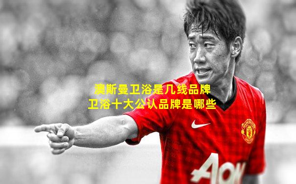 澳斯曼卫浴是几线品牌卫浴十大公认品牌是哪些