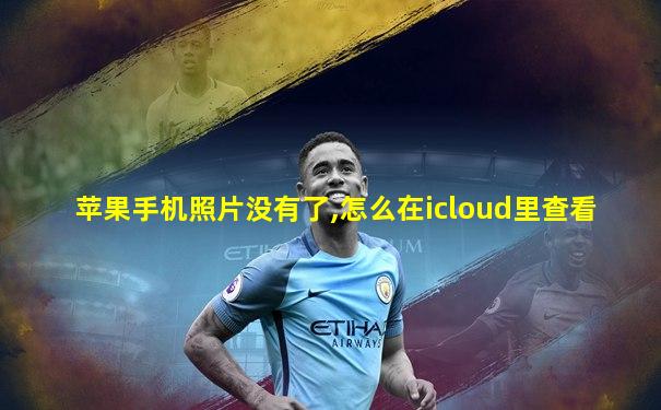 苹果手机照片没有了,怎么在icloud里查看
