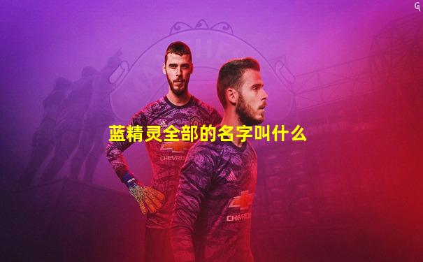 蓝精灵全部的名字叫什么