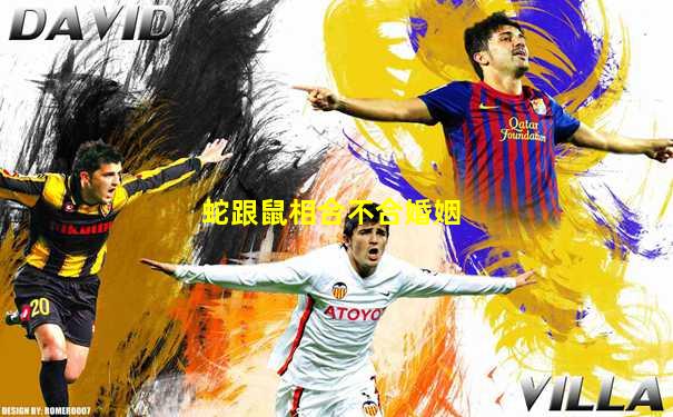 蛇跟鼠相合不合婚姻
