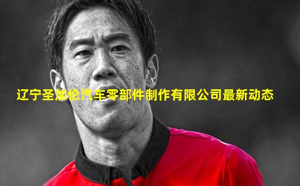 辽宁圣加伦汽车零部件制作有限公司最新动态