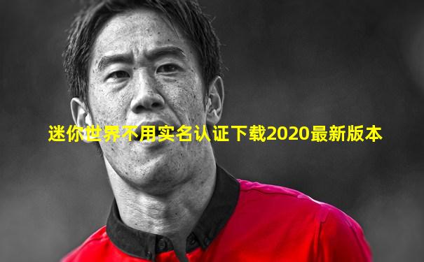 迷你世界不用实名认证下载2020最新版本