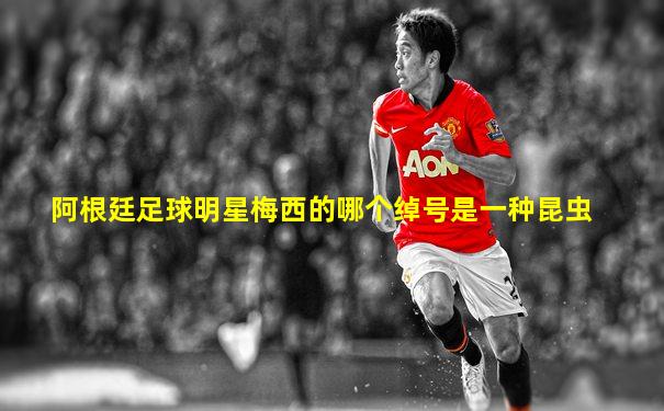 阿根廷足球明星梅西的哪个绰号是一种昆虫