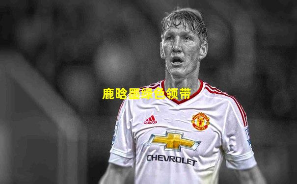 鹿晗墨绿色领带