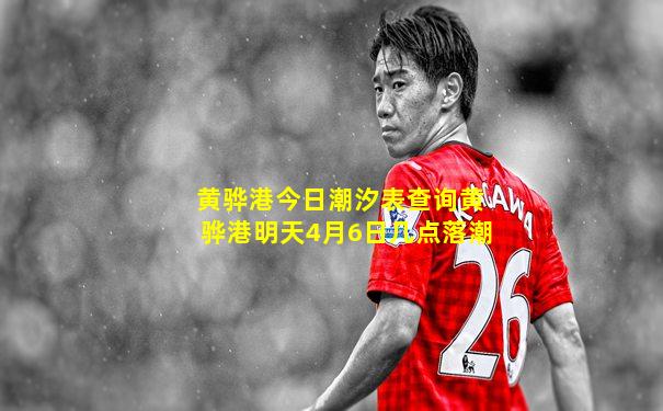 黄骅港今日潮汐表查询黄骅港明天4月6日几点落潮