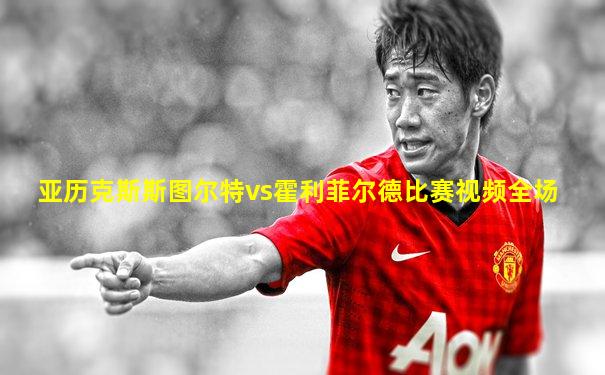 亚历克斯斯图尔特vs霍利菲尔德比赛视频全场