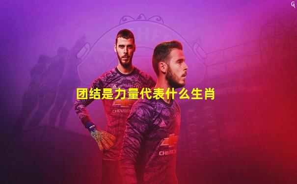 团结是力量代表什么生肖