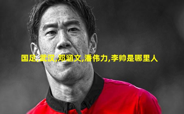 国足,武汉,邓涵文,潘伟力,李帅是哪里人