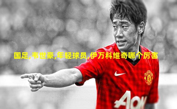 国足,韦世豪,年轻球员,伊万科维奇哪个厉害
