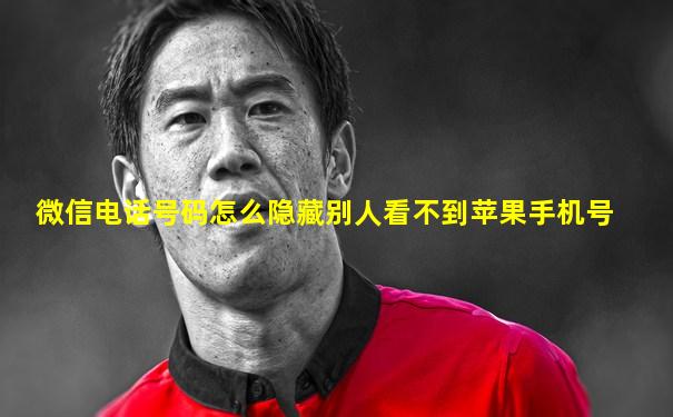 微信电话号码怎么隐藏别人看不到苹果手机号