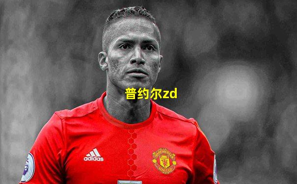 普约尔zd