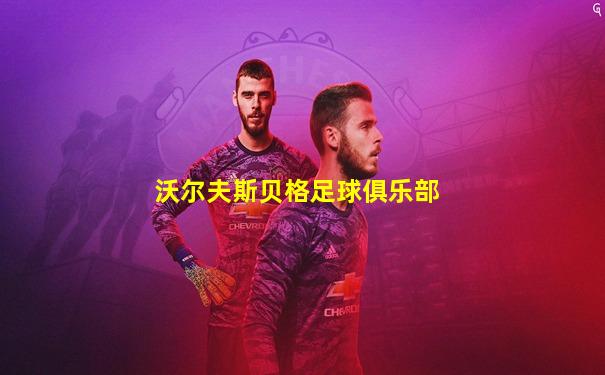 沃尔夫斯贝格足球俱乐部