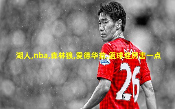 湖人,nba,森林狼,爱德华兹,篮球谁厉害一点