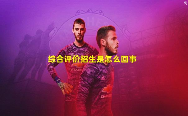 综合评价招生是怎么回事