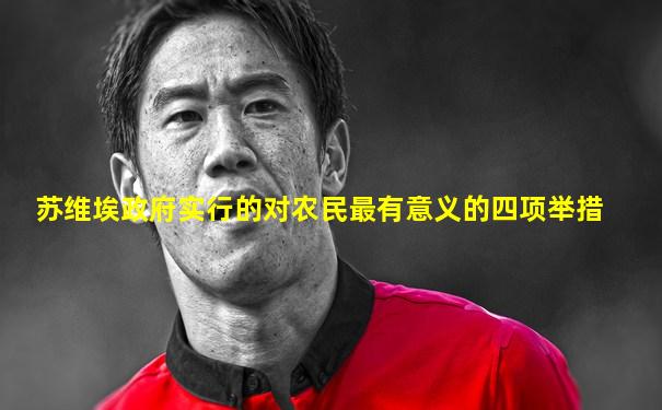 苏维埃政府实行的对农民最有意义的四项举措