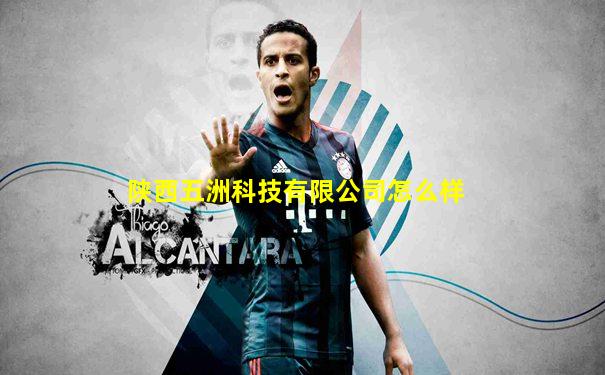 陕西五洲科技有限公司怎么样